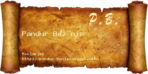 Pandur Bónis névjegykártya